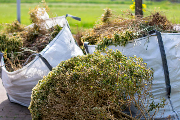 Best Basement Cleanout Services  in Kingsville, MD